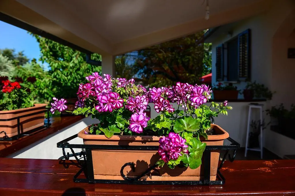 Apartment Angelina Pula Croatia